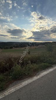 Işıklar Köyünün En Gelişen Lokasyonunda Yola Cepheli Mükemmel Satılık Arazi