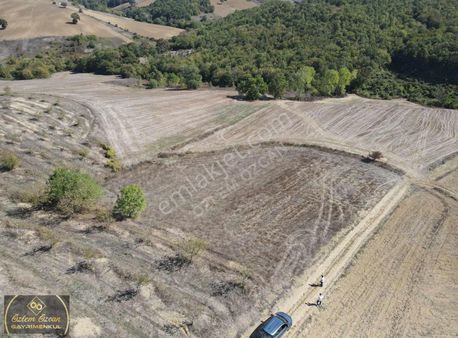 %5 İmarlı Havadar Yollu