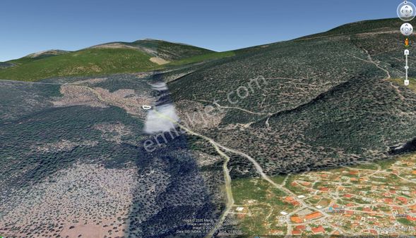 Muğla Milas Kazıklı Da 1.451 M2 Zeytinlik İçinde Yaklaşık 40 50 Adet Ağaç Bulunmakta