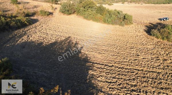 Hamzabey'de Yatırımlık 3500m2 Kupon Arazi Fırsat Nokta!!!