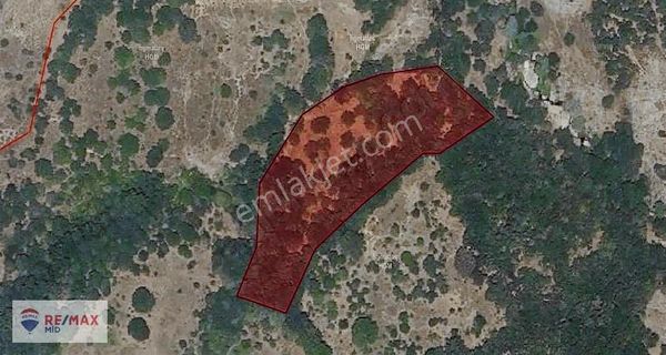 Remax Mıd - Susurluk Yaylaçayır 6850 M2 Tarla