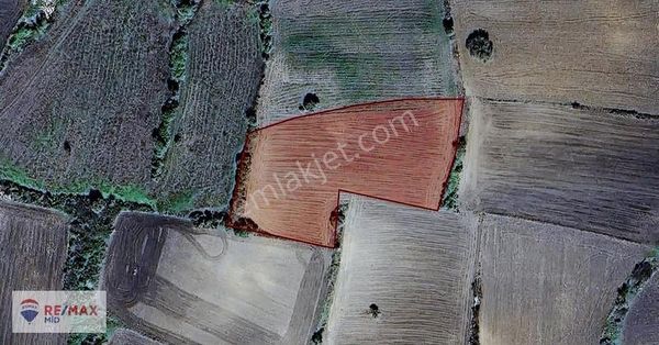 Remax Mıd - Susurluk Yıldız Da 6492 M2 Tarla