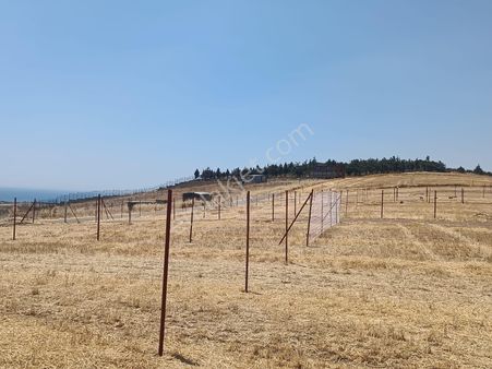 Tekirdağ Marmaraereğlisi Çevrili Konteynır Koyulabilir Hobi Bahçesi Yapılabilir Uygun Fiyatlı