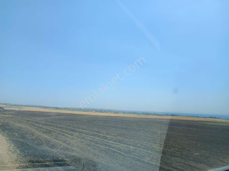 Tekirdağ Marmaraereğlisi Çevrili,konteynır Koyulur,hobi Bahçesi Olarak Kullanılır Uygun Fiyatlı