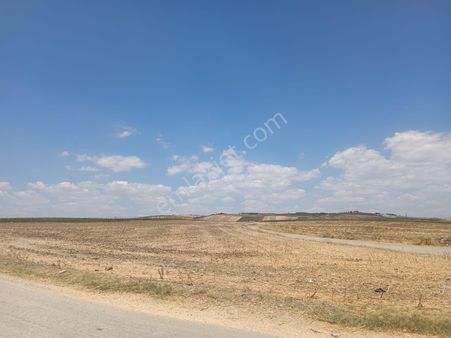 Tekirdağ Marmaraereğlisi Ana Yola Ve Denize Yakın Uyguna Hisse 275,3 Ada Parselde