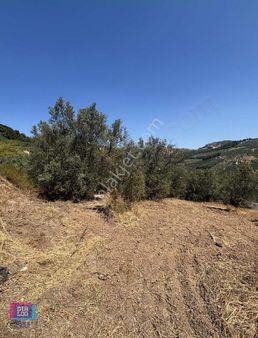 Dialog Skala'dan Dereköyde Uygun Hobi Bahçesi