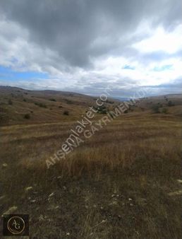 Ahşena Gayrimenkul'den Samsun Bafra'da Yola Cephe Satılık Arazi