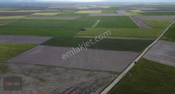 Rw Life // Eskişehir Alpu Bozanda Satılık Tarla