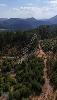 Muğla Menteşe Çakmak Mah. 8.375 M2 Satılık Fırsat Tarla