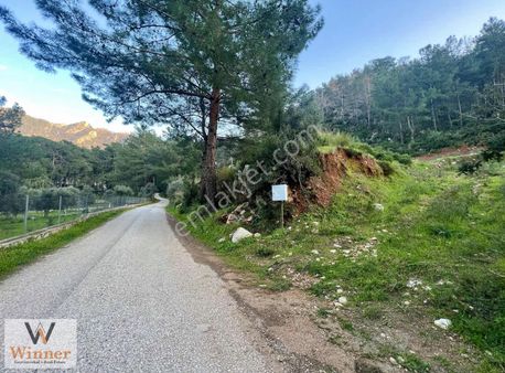 Winner- Orhaniye'de Araç Yoluna Sıfır+ Denize 1 Km Satılık Arazi