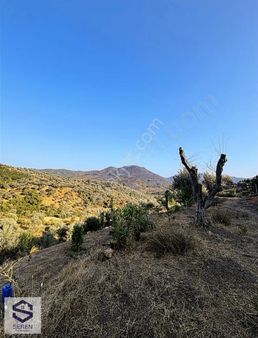 Orhanlı Köyünde %50 Köy İmarlı, Manzaralı Villa Arsası