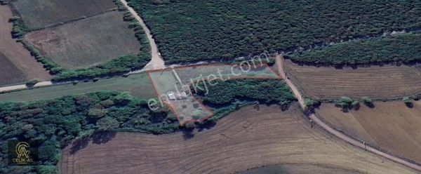 Çelik-ay Gayrimenkulen Satılık Tarla