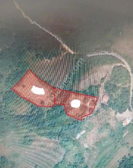 Sabuncuoğlu Gayrımenkulden Sinop Gerze Çakallı Da,ful Deniz,doğa Manzaralı Primlik Arazi