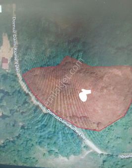 Sabuncoğlu Gayrımenkulden.sinop Gerze Çakallı Da.ucuz Yatırımlık Arazi