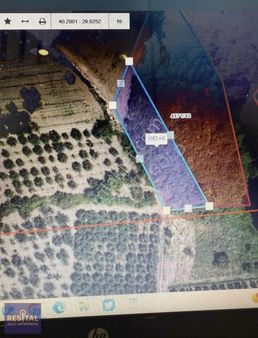 Dereçvuşta Satılık Tarla