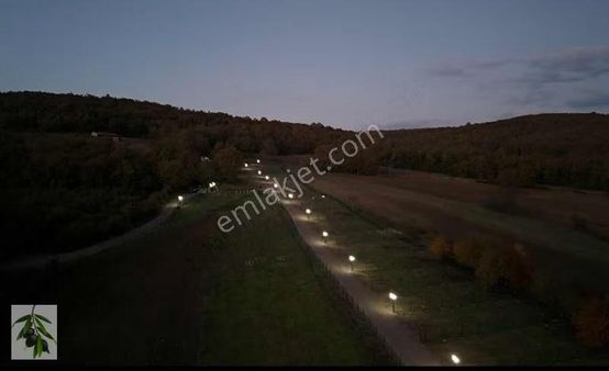 Şile Çengilli Merkezde Doğanın İçinde Arsa Tapulu Harika Fırsat