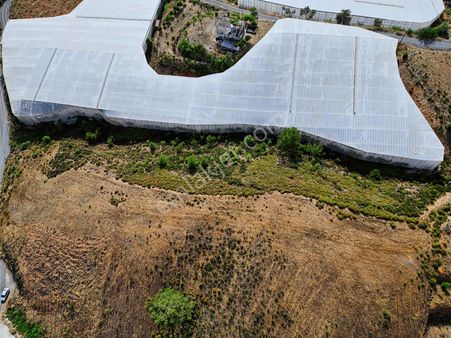 Gazipaşa Göcükte Satılık 5.188 M2 Müstakil Tarla