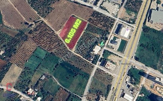 Çamak Gayrimenkul'den Tece'de Kiralık 6165 M2 Arsa