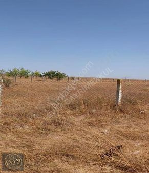 Evim Gayrimenkul'den İmarın Yanı Başında Yatırımlık 390m² Hisse