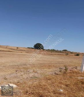 Evim Gayrimenkul'den İmarın Yanı Başında Yatırımlık 280 M² Hisse