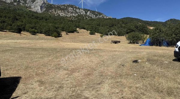 Bu Fiyata Bu Arsalar Kaçmaz