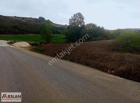 Kocaeli Körfez Kutlucada 5318m2 Asfalt Yola Cephe Müthiş Yer