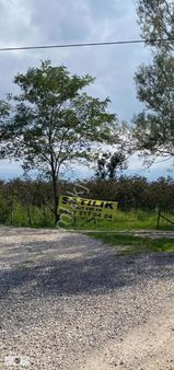 Burhanettin Mahallesi'nde Satılık Fındık Bahçesi