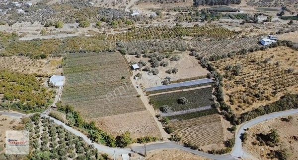 Startkey Star'dan Kemalpaşa Sarıcalı'da Satılık Arazi