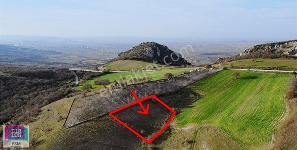 Dialog Fsm Den Tek Tapu Asfalt Yola Yakın 2.450 M2 Hobi Bahçesi