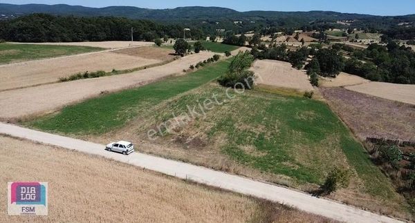 Bursa İnegöl Tekkeköy'de Ulaşımı Kolay Asfalta Yakın Hobi Bahçes
