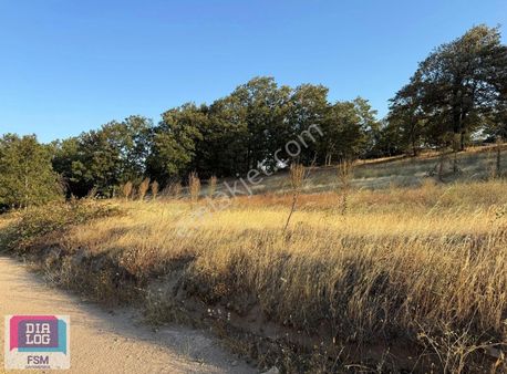 Balıkesir Susurluk Yaylaçayır Köyünde 5.400 M2 Köye Yakın Tarla