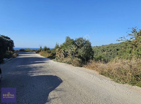 Mudanya Esence De Satılk 1300 M2 Yol Kenarı Bahçe Resital Big De
