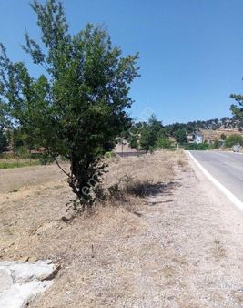 Silifke Çamlıca İmam Uşağı Satılık Arsa