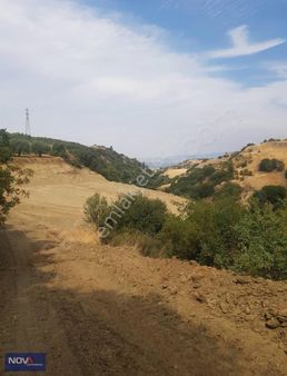 Turgutlu Osmancık Arasında Arazi Satılık