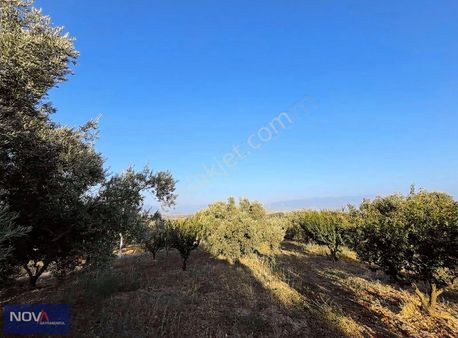 Nova'dan Osmancık'ta Satılık Tarla