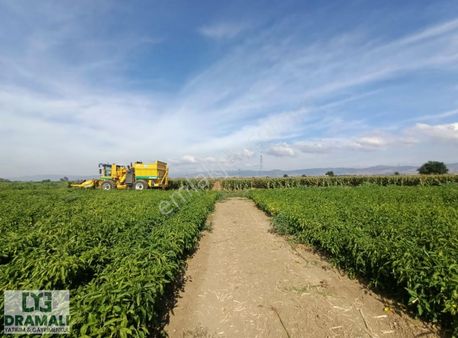 Bursa Yenişehir Çayır Mh 1.680 M2 Yola Cephe Ekili Tarla