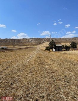 Kevser Emlak'tan Satılık 815 M2 Tarla