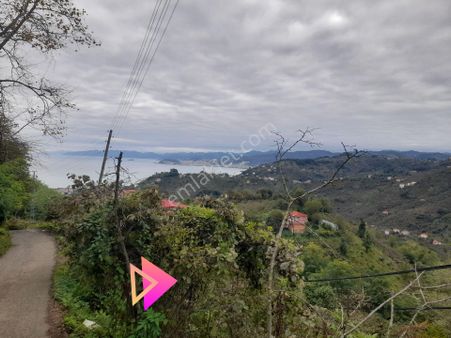 Bulancak Küçüklü Satılık 1430m2 Deniz Manzaralı Bahçe