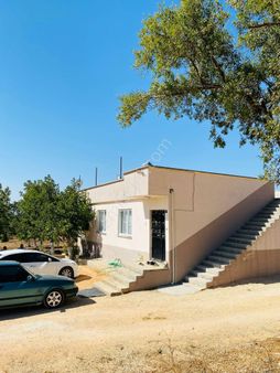 Millioğlu İnşaat'tan Serintepe'de Acil Satlık Bağevi Ve Arazi