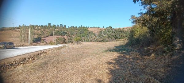 Ahmetli Hacıköse Köy Girişi