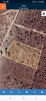 Karaköprü Akçahisar Mh Satılık Fıstık Bahçesi