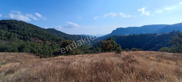 Balıkesir Bigadiç Bozbük'te Satılık 2 Parsel Tarla