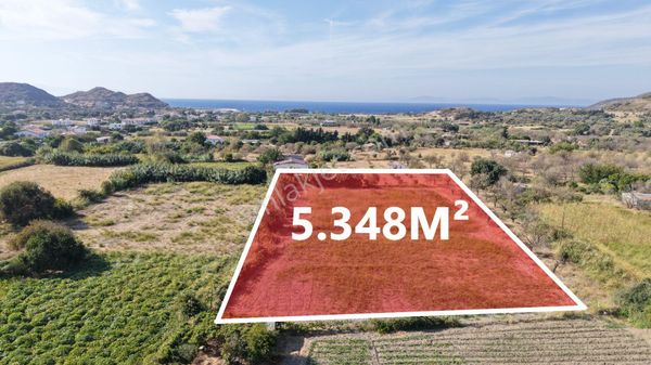 Datça Karaköy'de Satılık Elektrik Suyu Olan 5.348m² Tarla