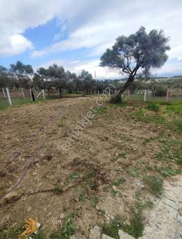 Arslan Yapı Gayrimenkul Tan Torbalı'nın En Güzel Köyünde Satilik