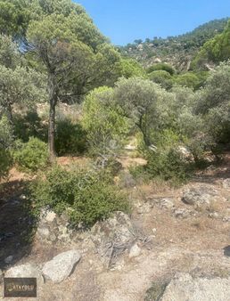 Milas Ortaköy'de Uygun Fiyata 1.120 M2 Arazi!