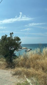 Tırpan Gayrimenkulden Kumyaka'da 2000m2 Deniz Manzaralı Satılık Zeytinlik