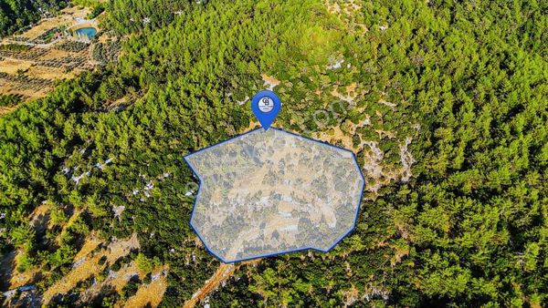 Cb Marina'dan Menteşe Kuyucak'da Satılık 5.932 M2 Tarla