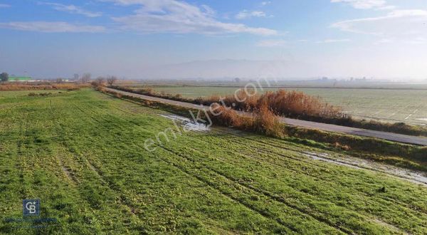 Çiğli Kaklıçta 37.500 M2 Satılık Tarla