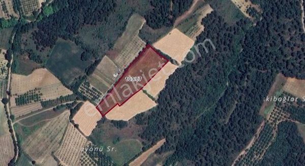 🌿 İnegöl Eymir Köyü’nde 10.900m² Hektar Satılık İmarsız Arsa