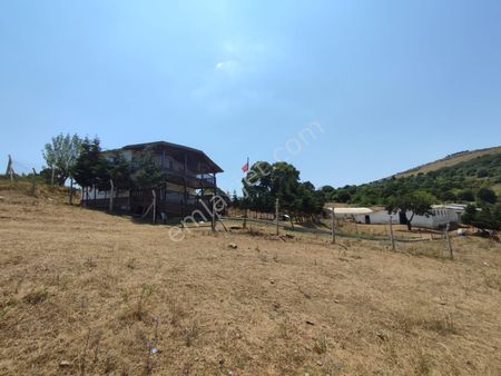 Karacabey Karakoca İstanbul-izmir Otoyola Yakın Kiralık Çiftlik